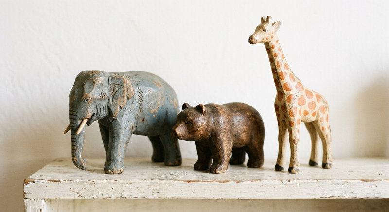 Naturaleza y Animales