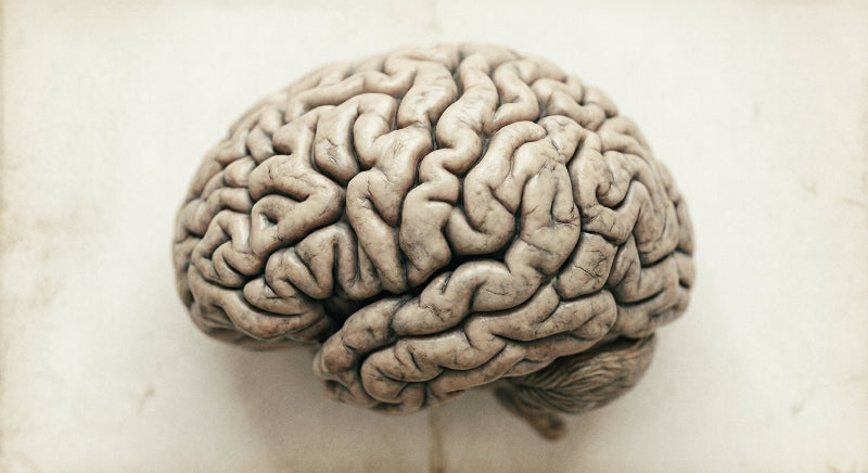 Psicología y Psiquiatría