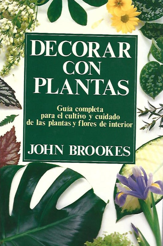 Decorar con Plantas
