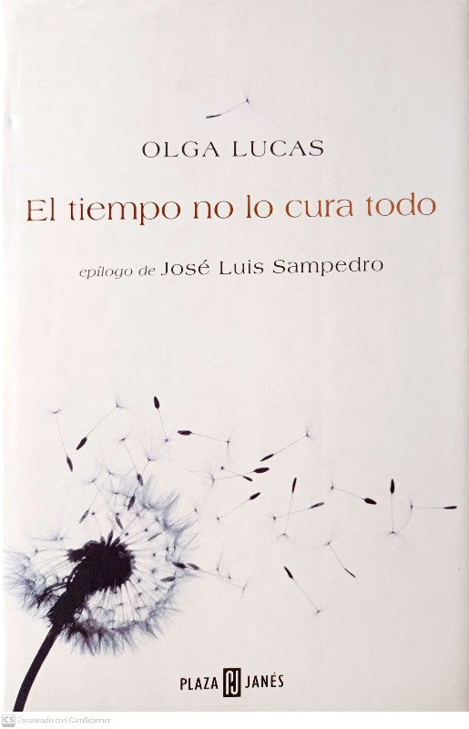 El Tiempo No Lo Cura Todo