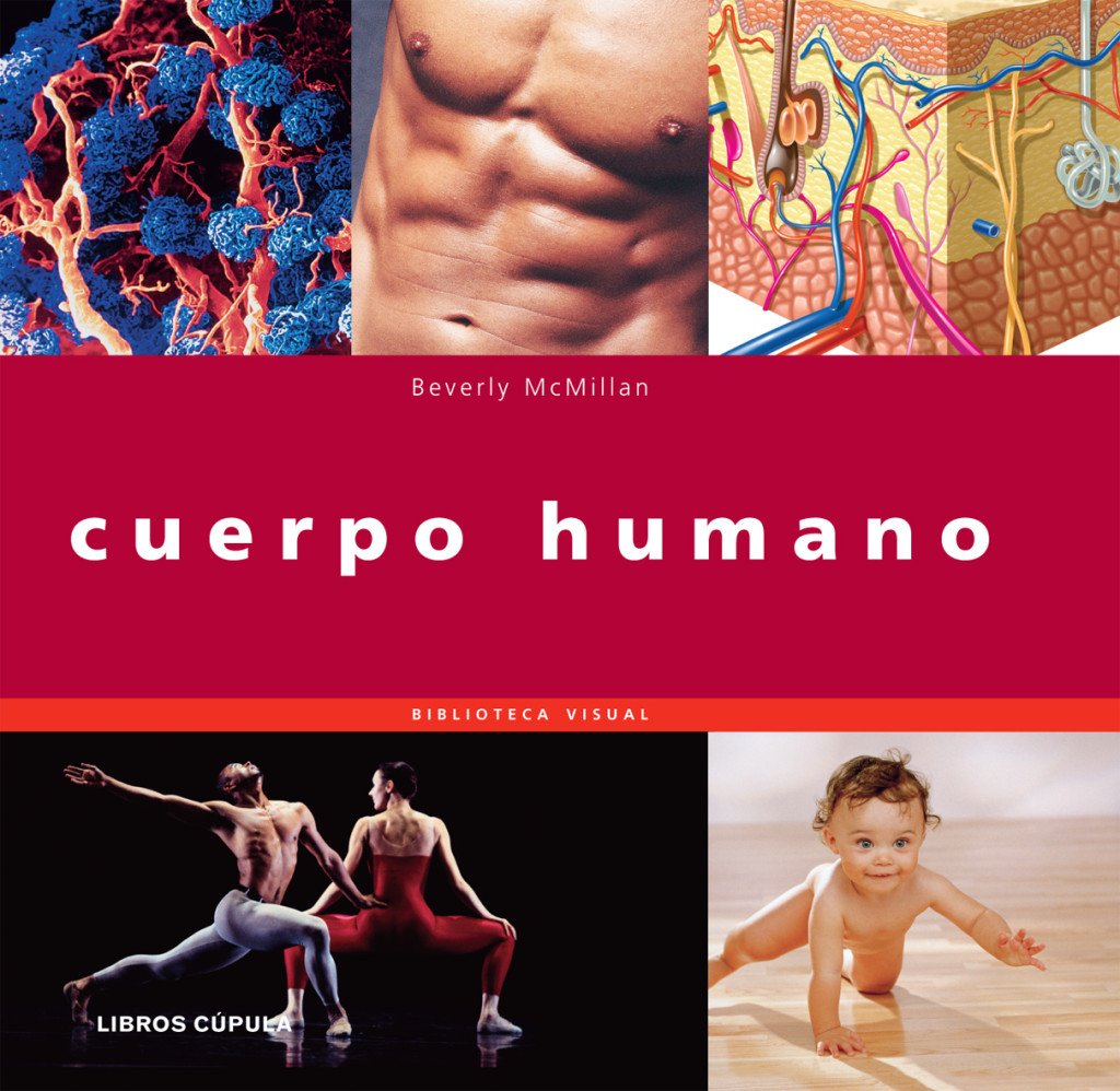 Cuerpo Humano
