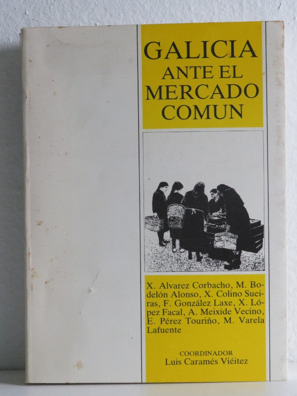 Galicia Ante el Mercado Común