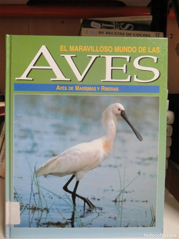 El Maravilloso Mundo de las Aves: Aves de Marismas y Riberas