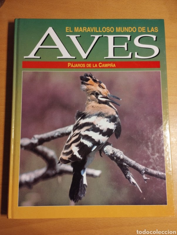 El Maravilloso Mundo de las Aves: Pájaros de la Campiña