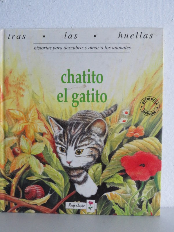Chatito el Gatito