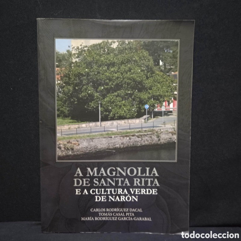 A Magnolia de Santa Rita e a Cultura Verde de Narón