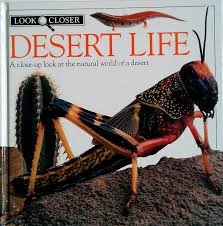 El Desierto