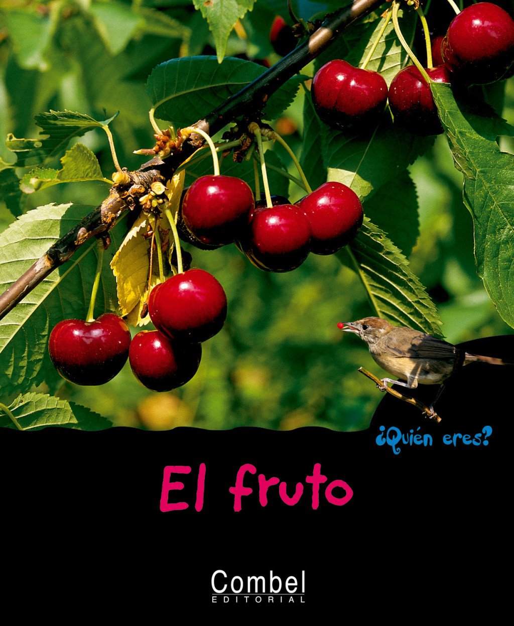 El Fruto