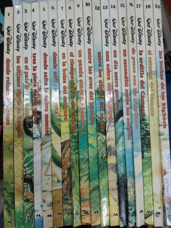 Aventuras de los Jóvenes Castores (19 de 24 Tomos)