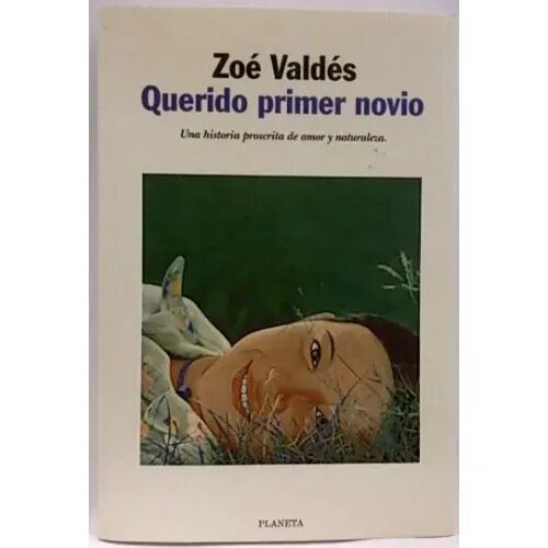 Querido Primer Novio