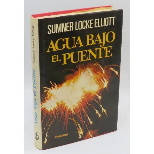 Agua Bajo el Puente