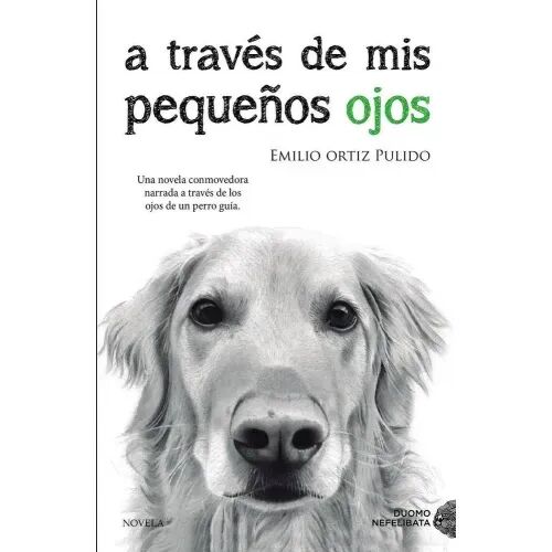 A Través de Mis Pequeños Ojos