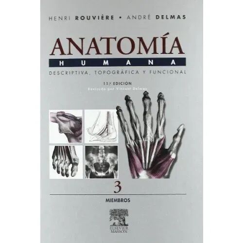Anatomia 3 Masson