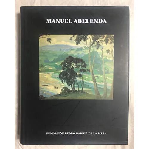 Exposicion Manuel Abelenda