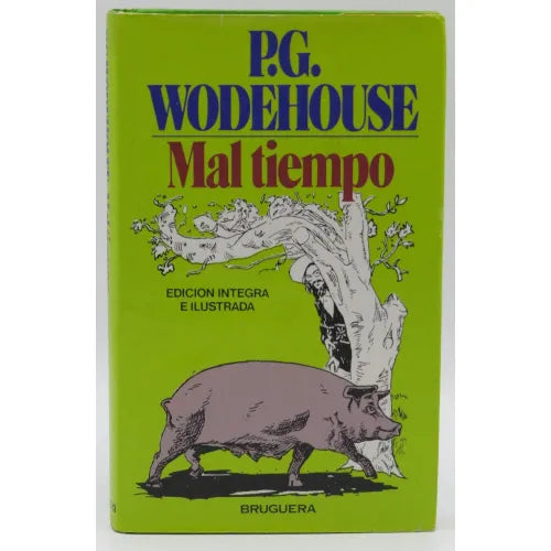 Mal Tiempo